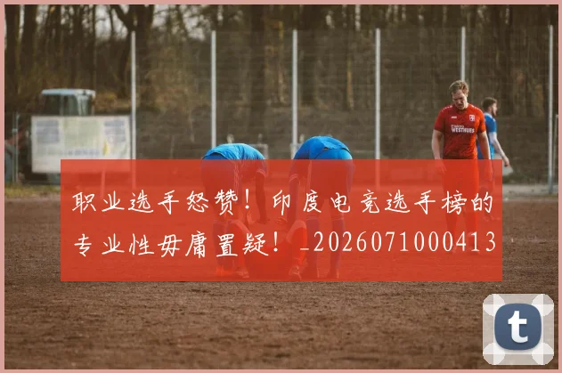 职业选手怒赞！印度电竞选手榜的专业性毋庸置疑！_20260710004134_20260803143905