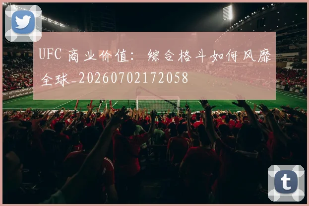 UFC 商业价值：综合格斗如何风靡全球_20260702172058