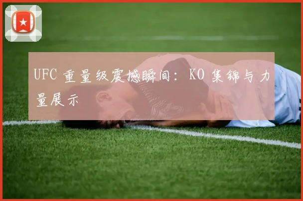 UFC 重量级震撼瞬间：KO 集锦与力量展示